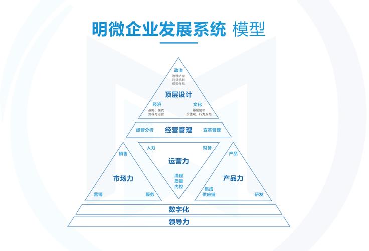 深圳明微管理咨询