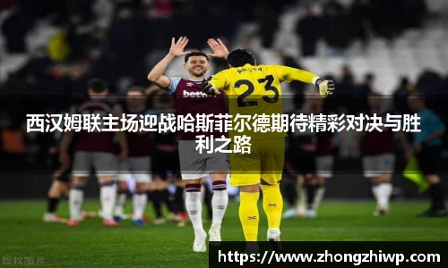 球信网官方网站