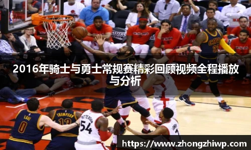 球信网